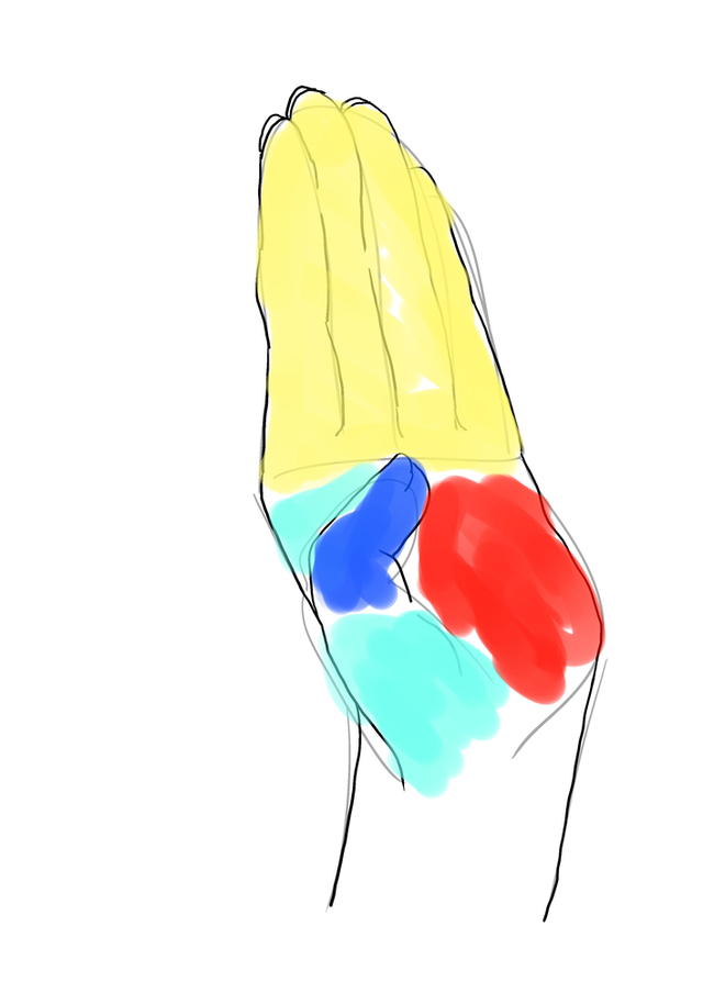 手練習１