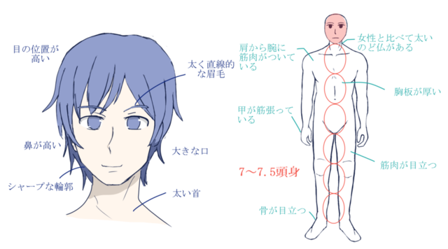 顔と体
