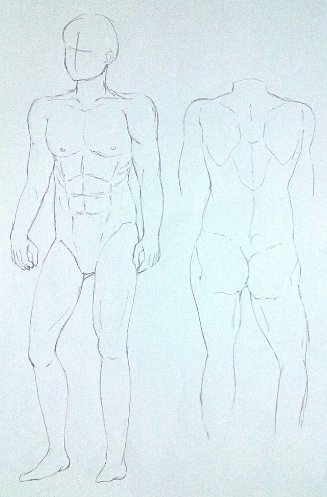 男性の体型イラレポ