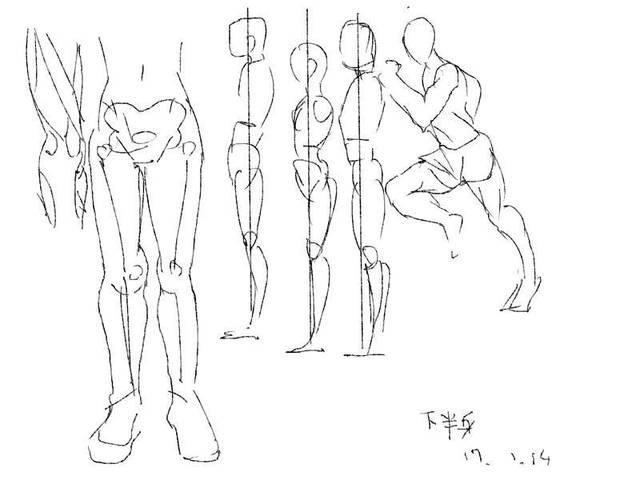 下半身の筋