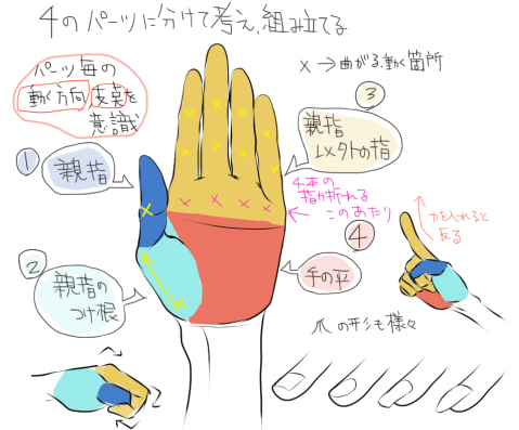 手や指の描き方講座