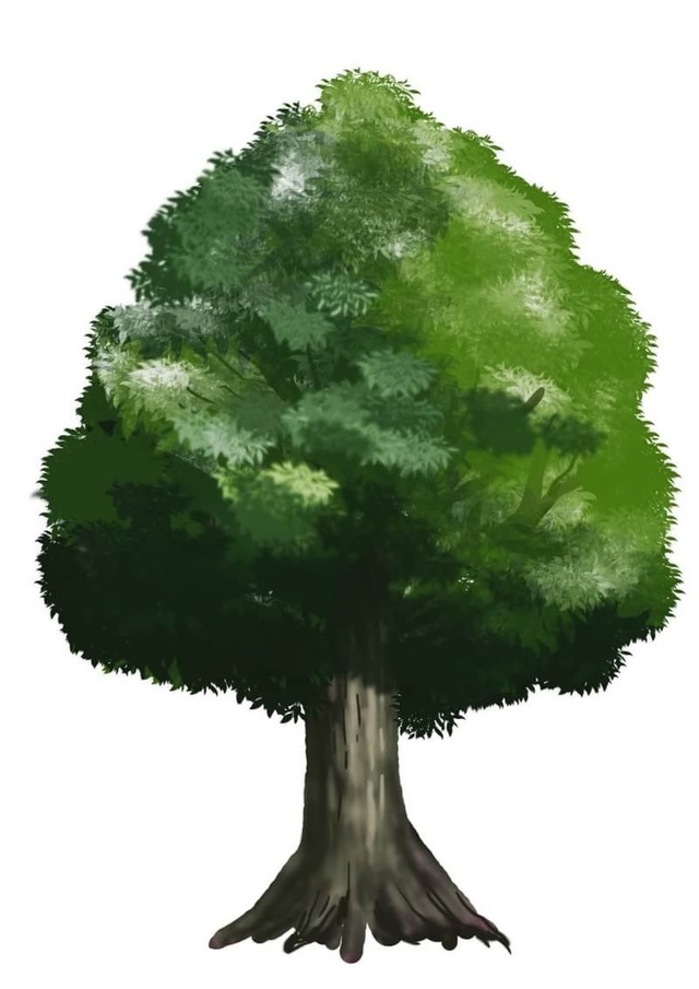 木の練習