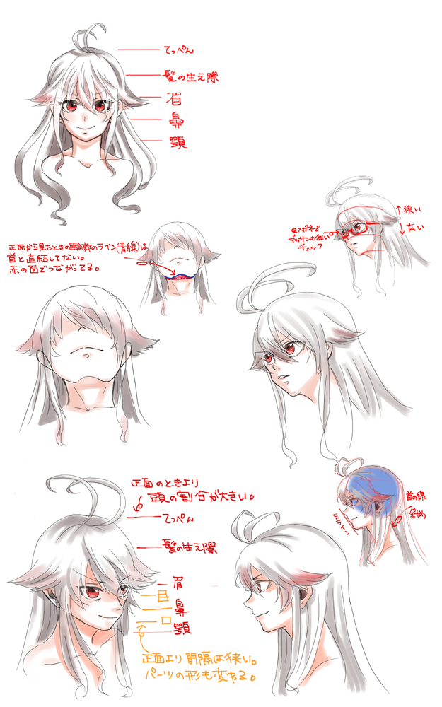 顔のアタリの取り方＿イラレポ