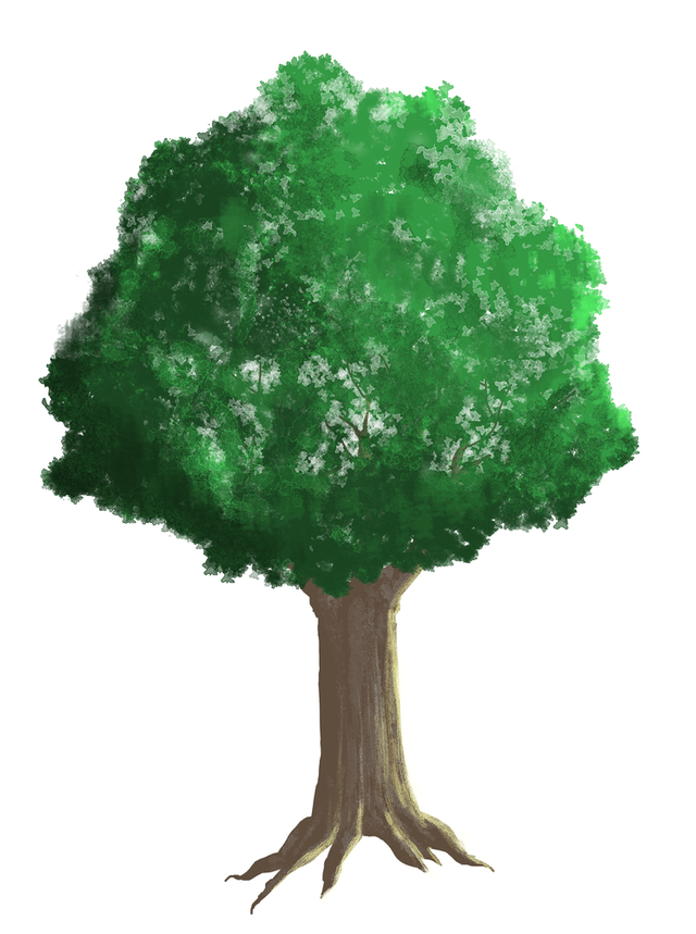 木の描き方