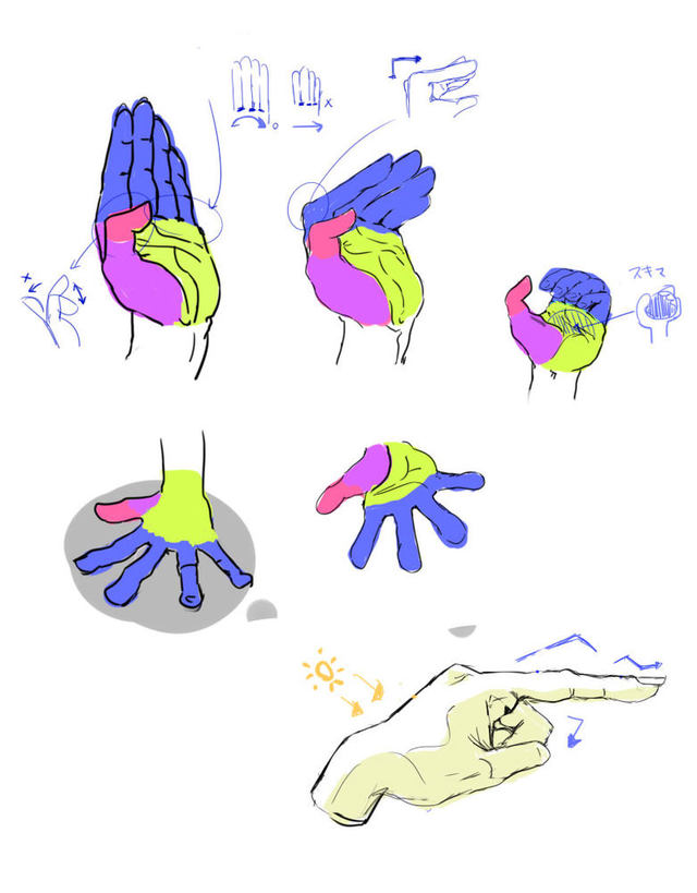 手の構造把握