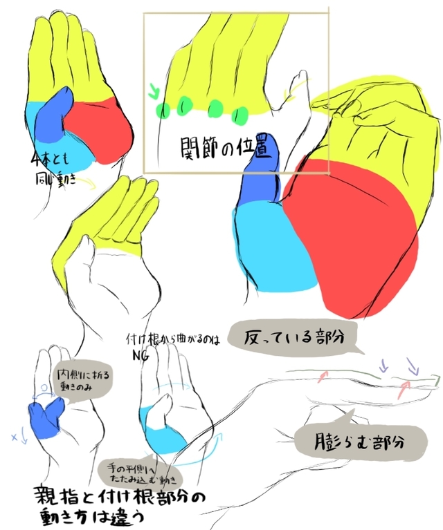 手の描き方