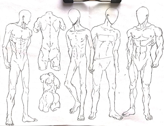 体型