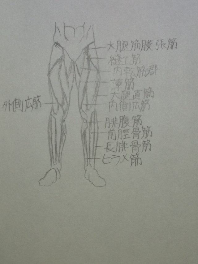 下半身（構図）