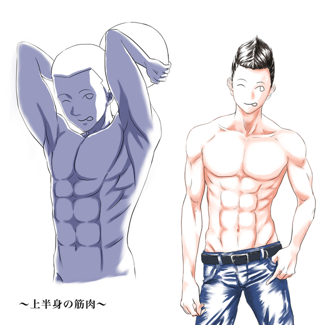 上半身の筋肉
