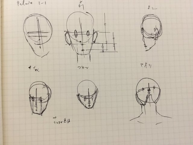 顔の比率