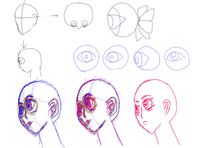 目を球状と意識して目を描く