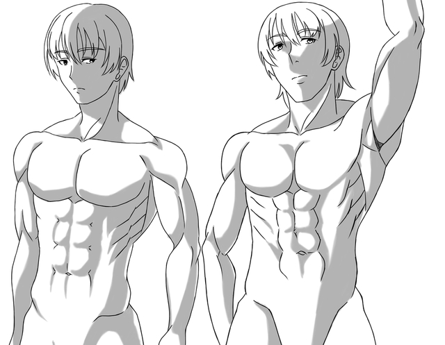 上半身の筋肉描き方講座イラレポ