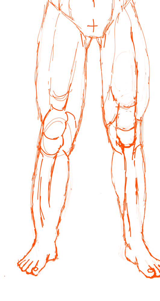 下半身描いてみました