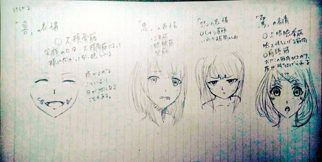 イラレポ