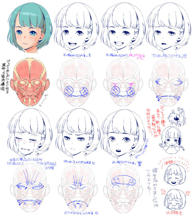 筋肉の動きから表情を描く
