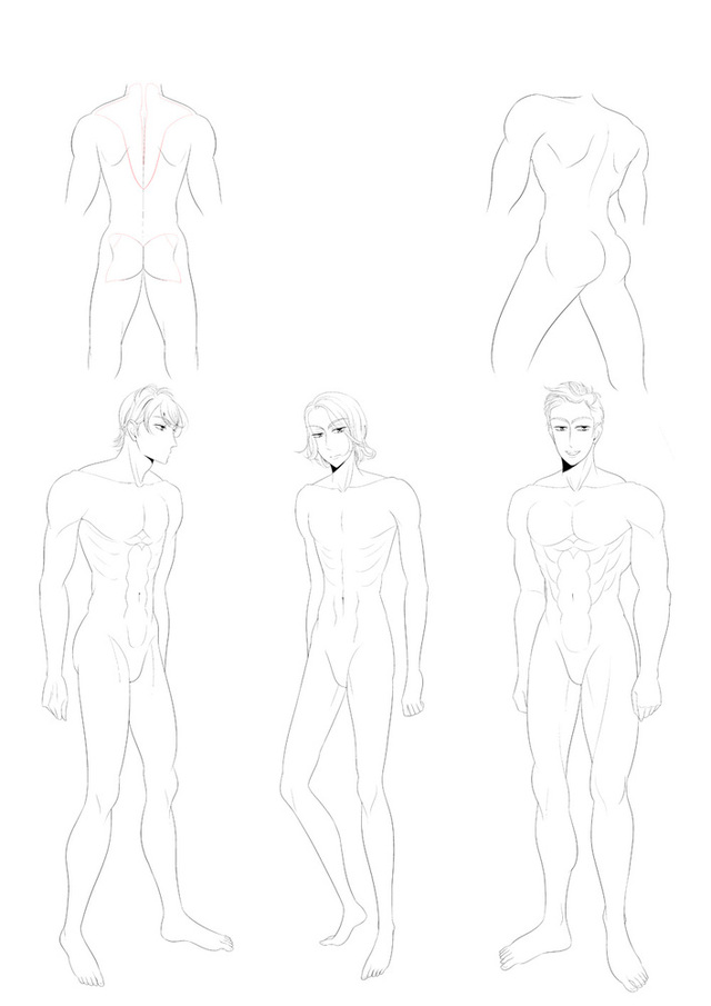 男性の体型の描き方