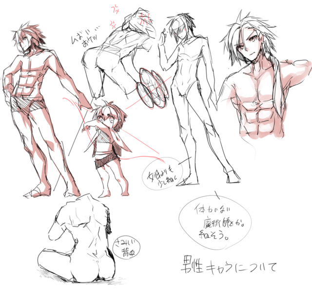 男性の体型