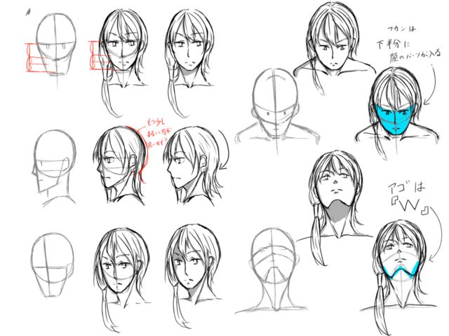 顔の描き方