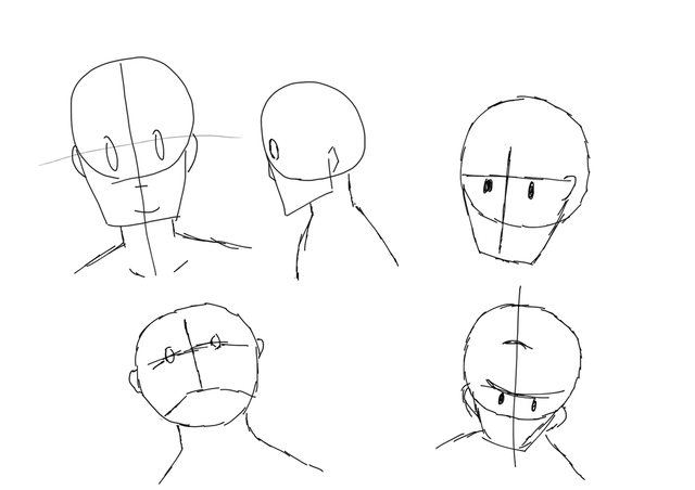 顔の構図