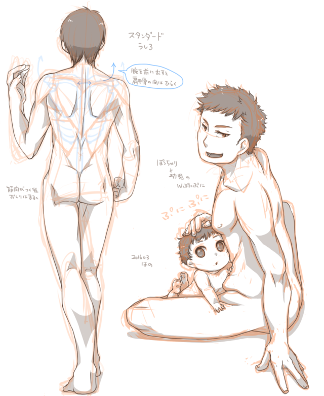 男性の体型描き分けイラレポ