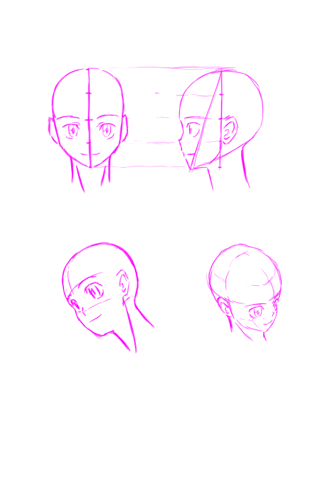 顔の構図