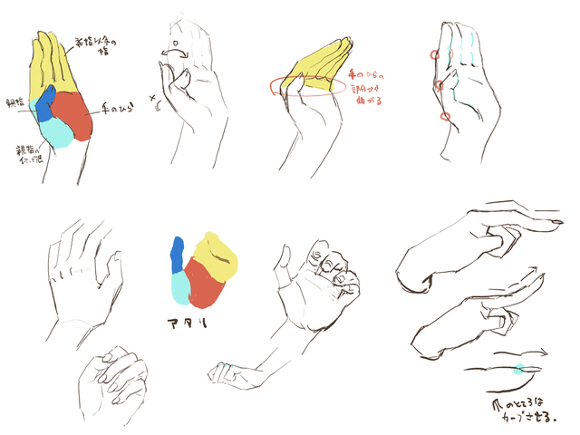 手の描き方イラレポ