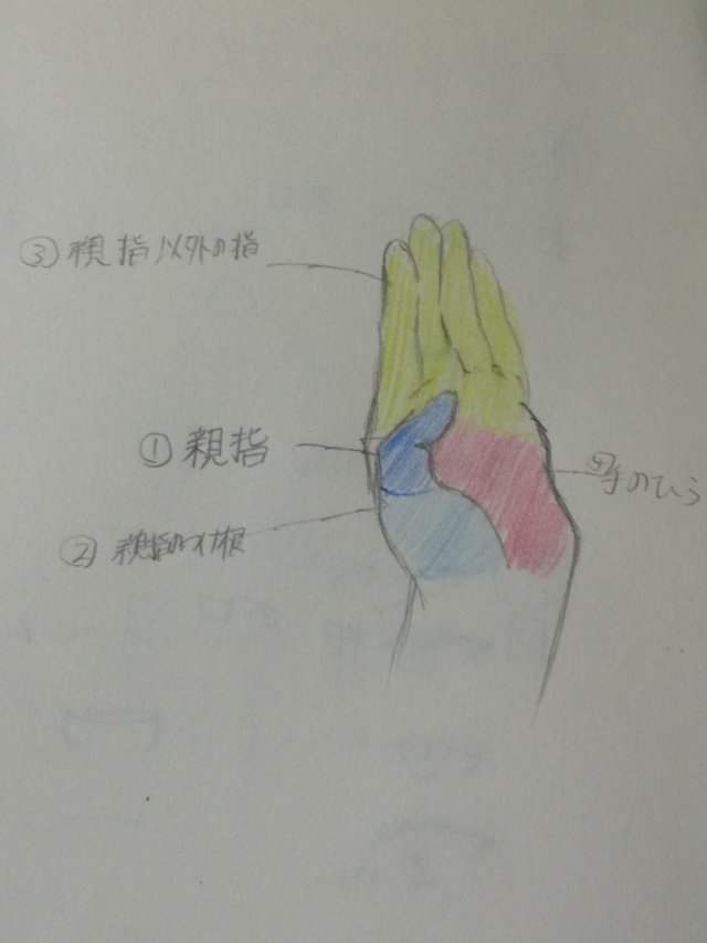 手（パーツ）