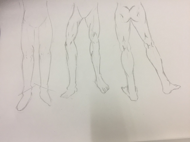 下半身の筋肉