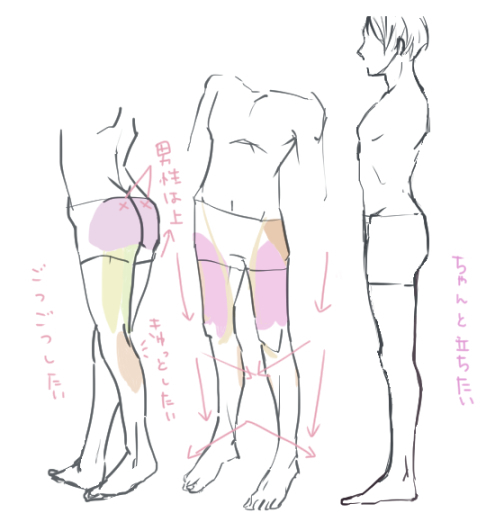 男性の下半身の筋肉の描き方講座