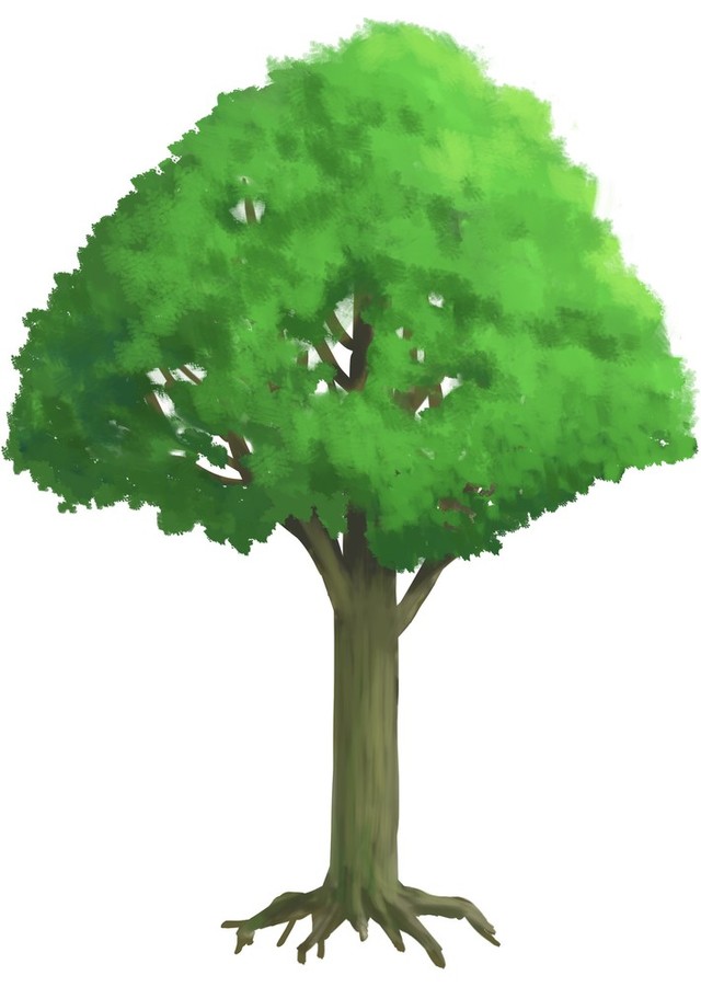 木の描き方