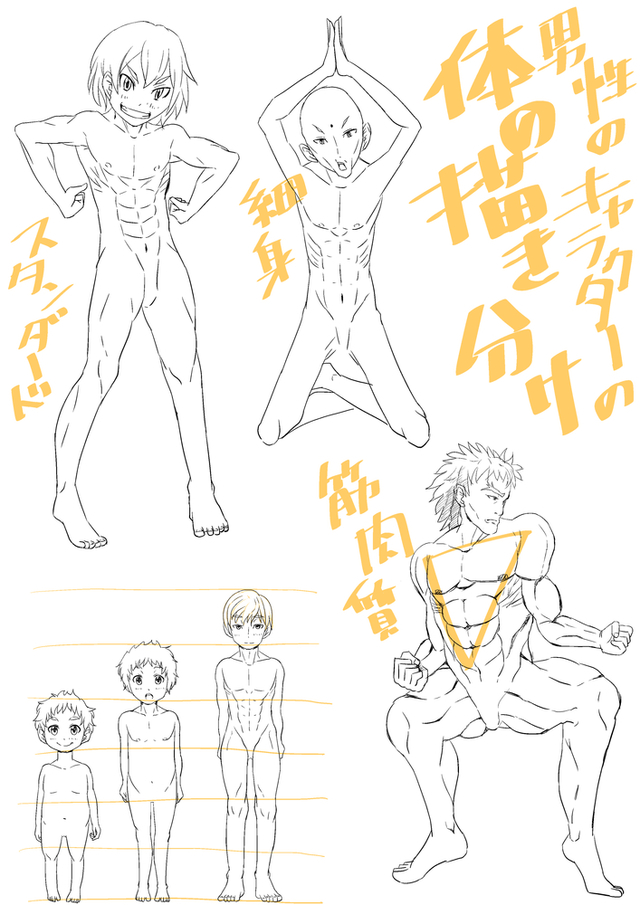 筋肉の描き分け