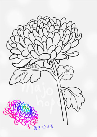 花を描くッ！