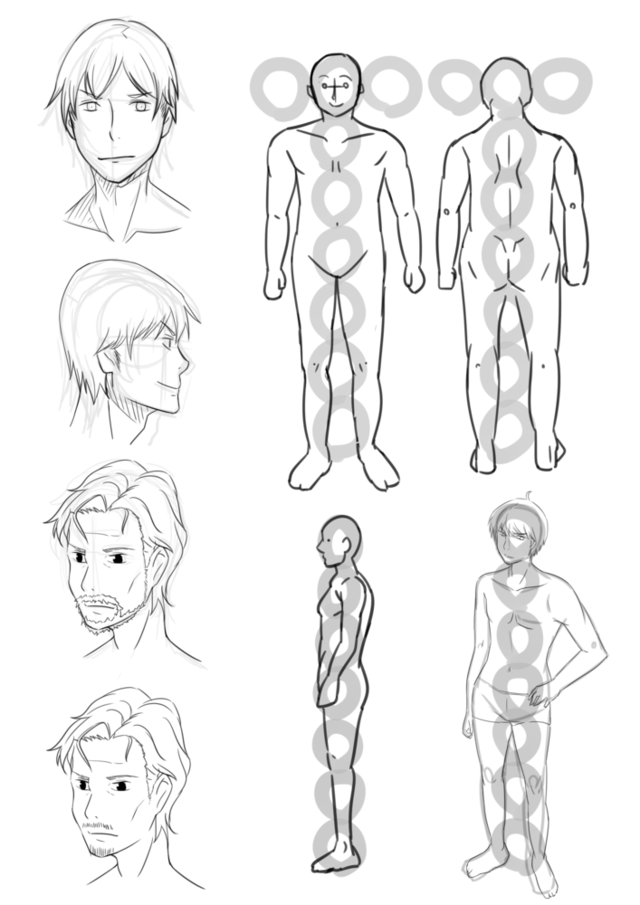 男の体の描きかた