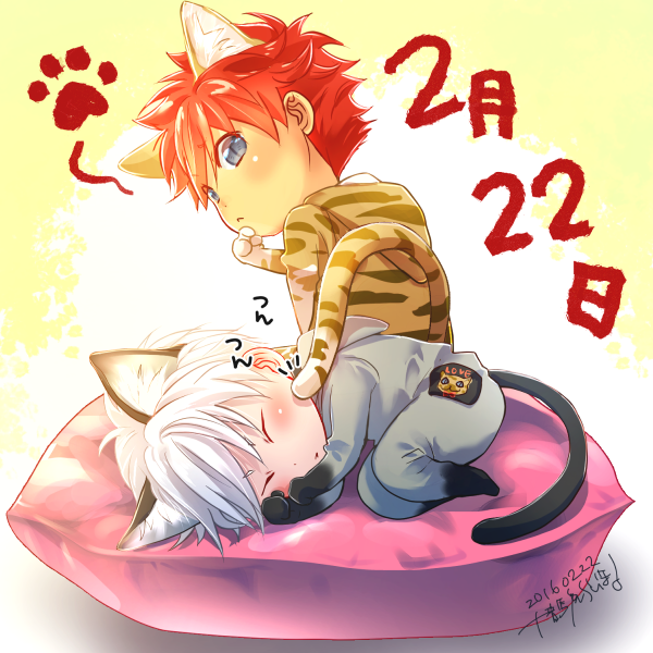 猫耳