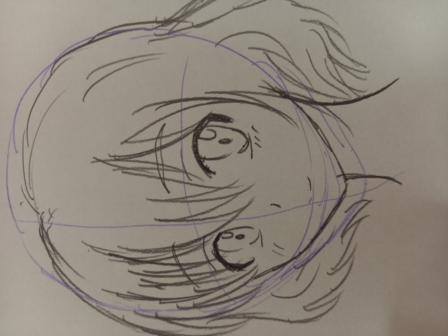 つむじの基本