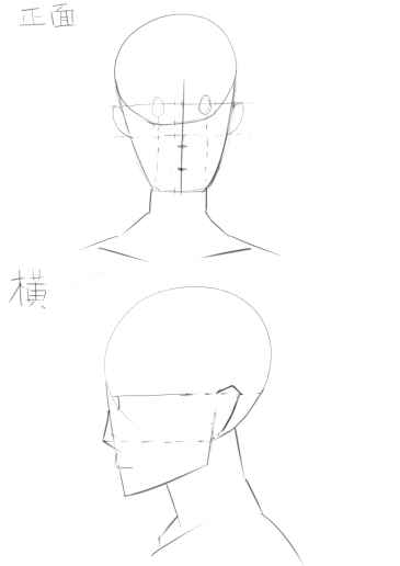 初級1-1　顔正面　横　