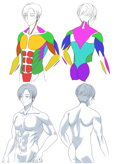 男性。上半身の筋肉の描き方講座