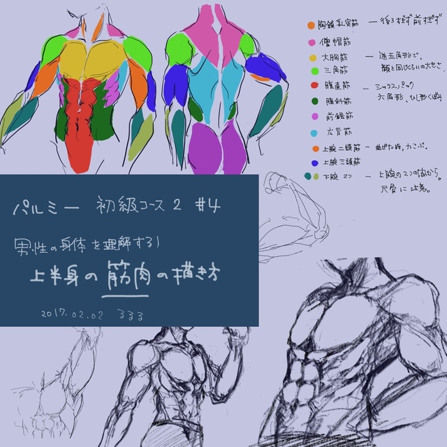筋肉