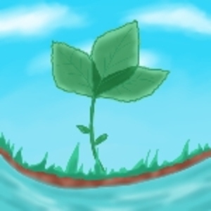 さわば