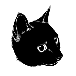 くろねこ